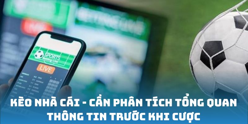 Phân tích cẩn thận khi tham gia kèo nhà cái 188Bet